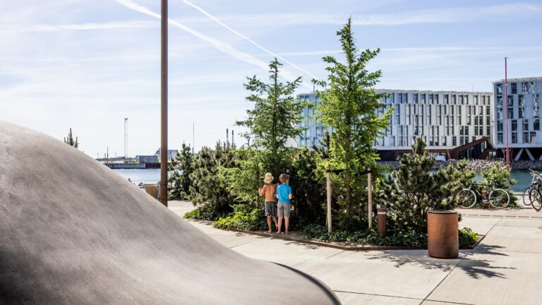 The Danish 15-Minute City Concept