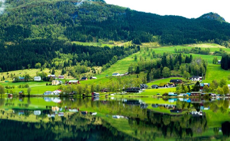From Urban Hustle to Tranquil Fjords: A Guide to Moving to Rural Norway