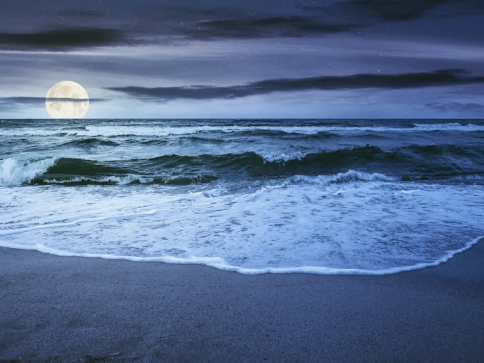 Norwegian Survey Reveals that a Quarter of the Population Lacks a ‘Basic Understanding’ of How Tides Work