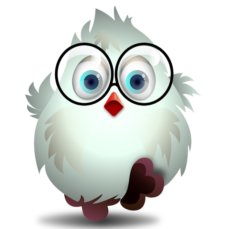 Creative Claims: Customer Reported Glasses Stolen by a Bird