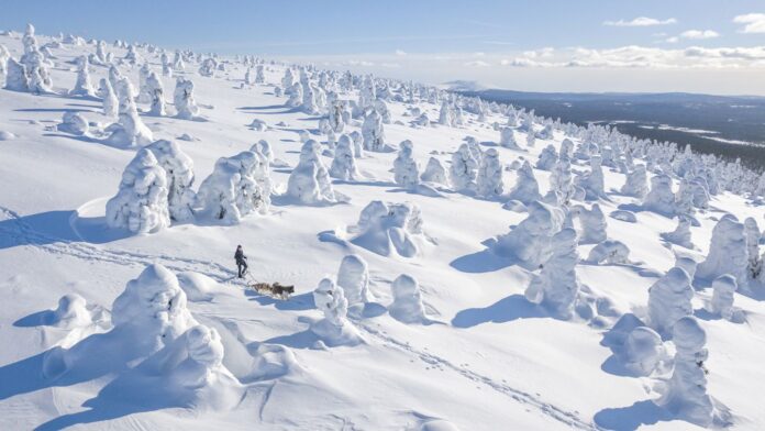Magical Finnish Lapland