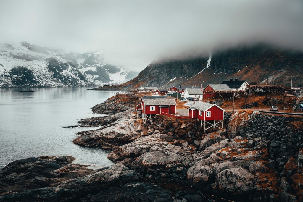Ten Most Read Articles in Daily Scandinavian