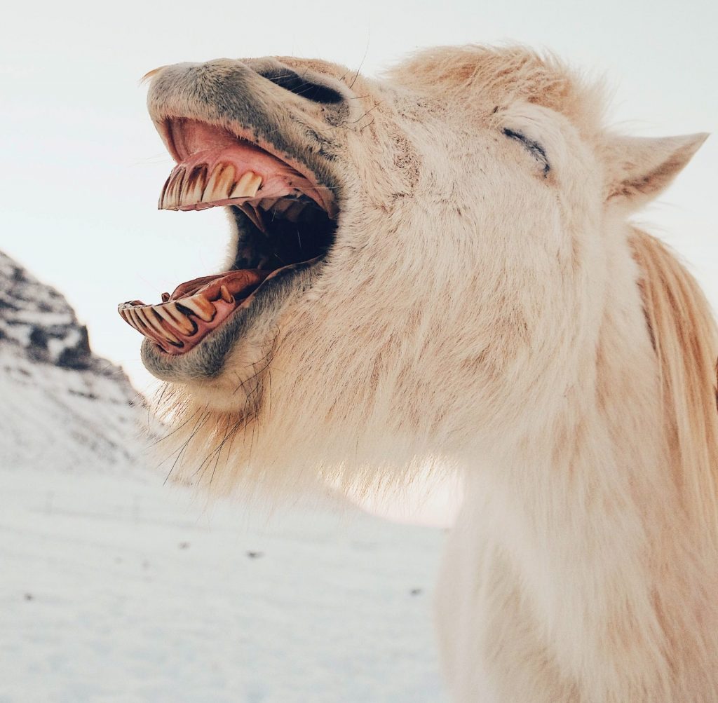 Ten Most Read Articles in Daily Scandinavian