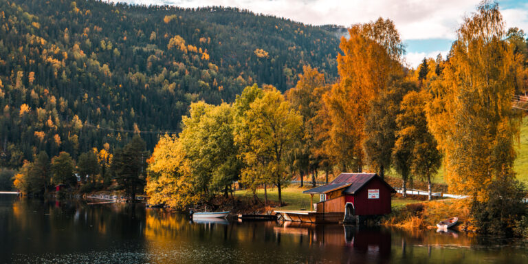 Facing Change: The Role of Mental Wellness in Embracing the Transition from Nordic Summer to Autumn