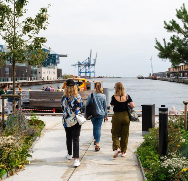 Calm Traffic in Copenhagen