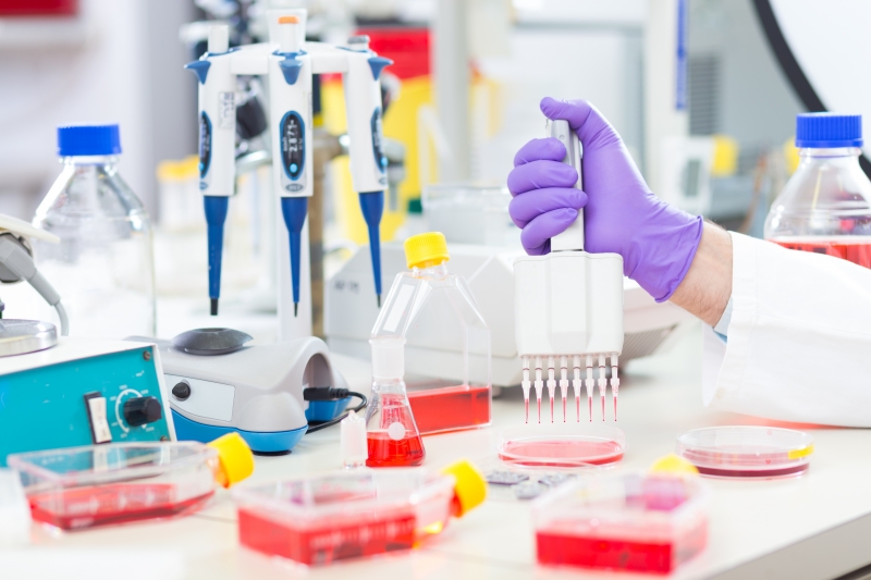 Scandinavia Leads the World in Anti-Obesity Innovation: What New Research Means for Everyday People