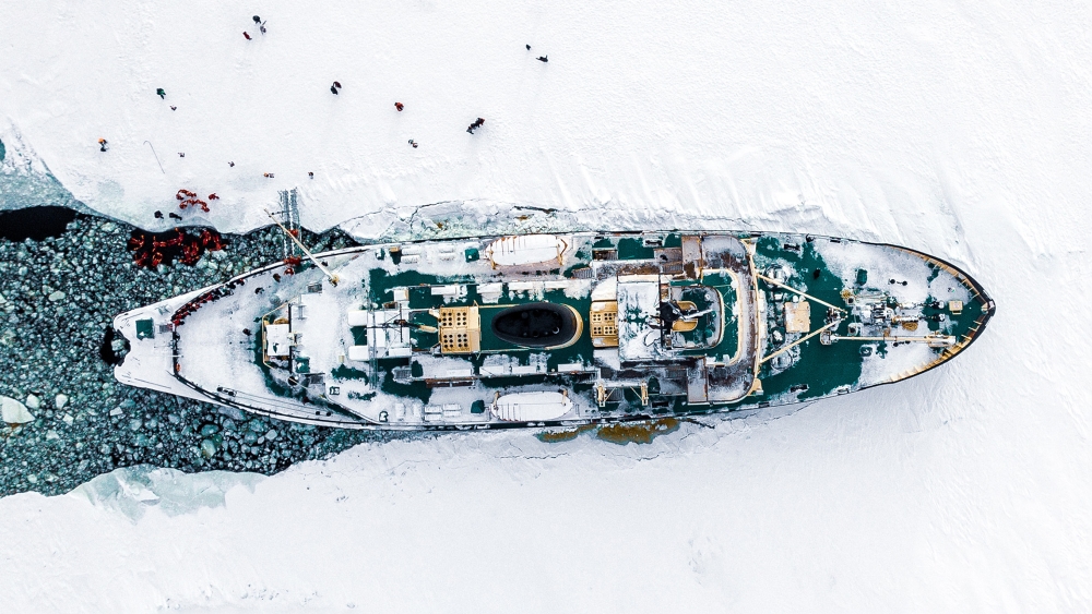 Experience the Real Arctic