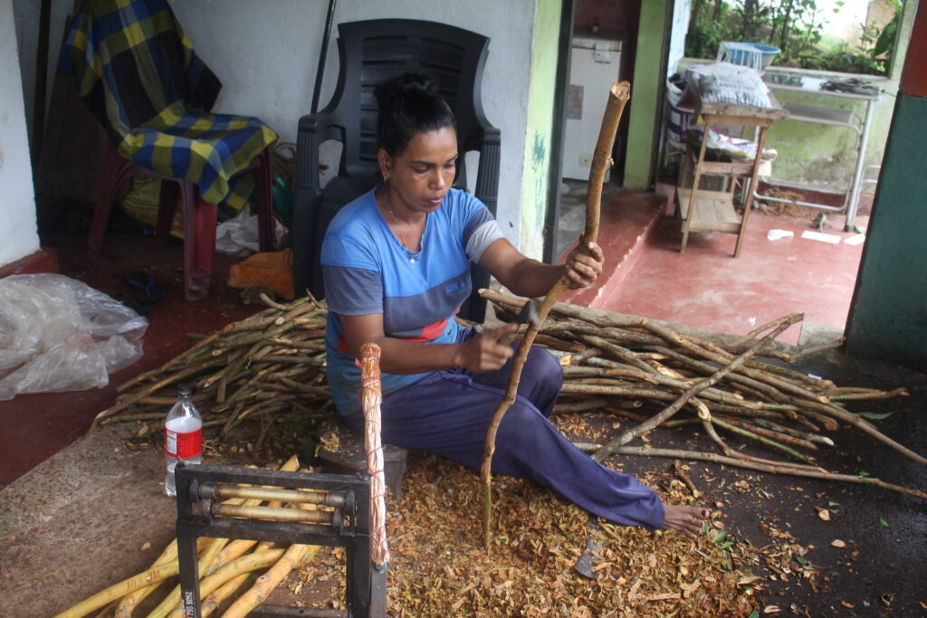 Escaping Winter – Why Sri Lanka Became My Refuge