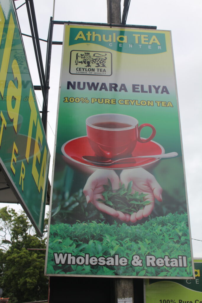 Escaping Winter – Why Sri Lanka Became My Refuge