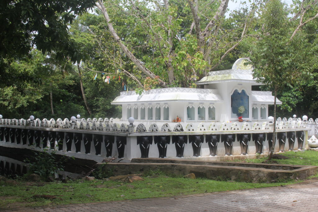 Escaping Winter – Why Sri Lanka Became My Refuge