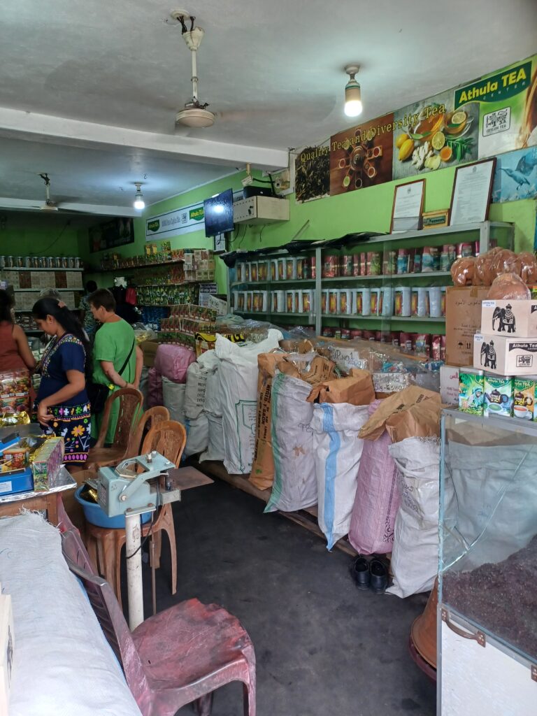 Escaping Winter – Why Sri Lanka Became My Refuge