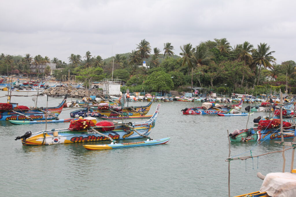 Escaping Winter – Why Sri Lanka Became My Refuge