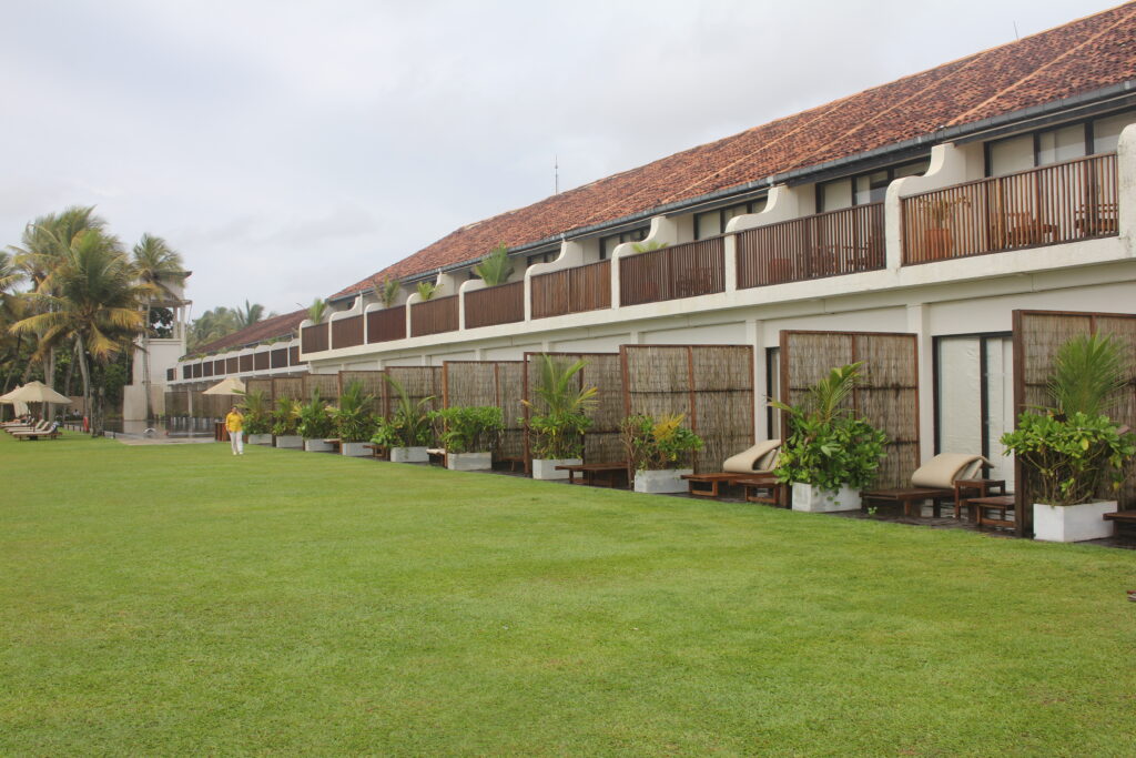 Escaping Winter – Why Sri Lanka Became My Refuge