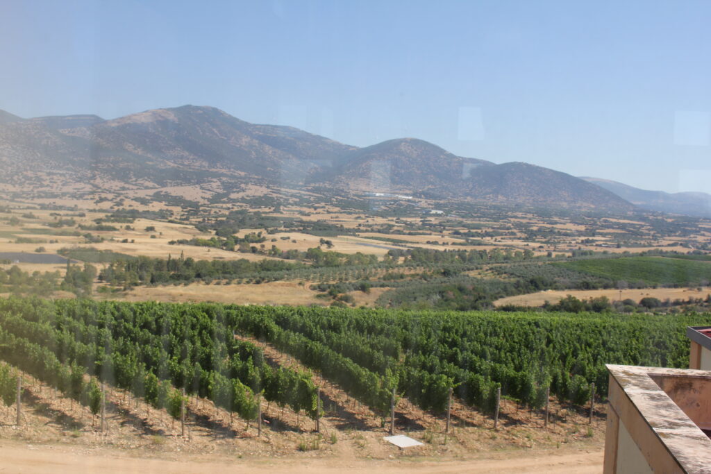 Join Us for Wine-Tasting in Greece