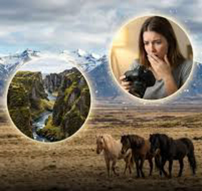 Wanted: “World’s Worst Photographer”