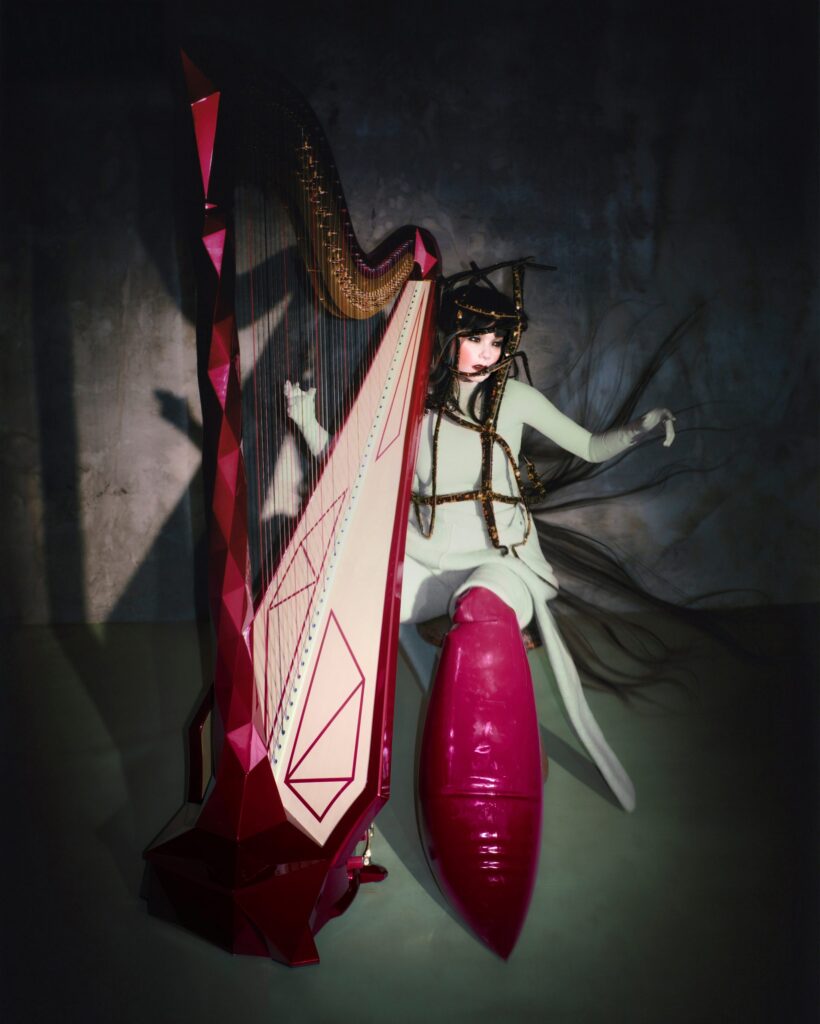 The National Gallery of Iceland presents Björk 
