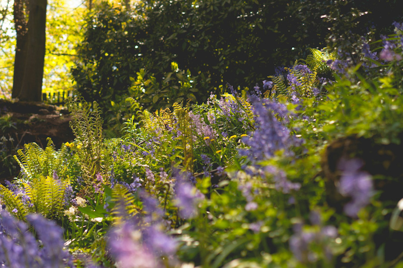 Spring Blossoms and Well-Being: Enjoying the Renewal in Nature, Light, and Simplicity