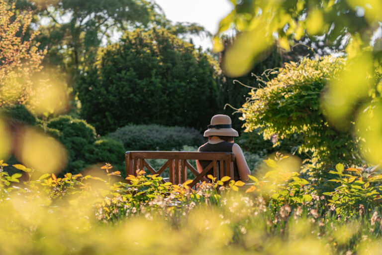 Spring Blossoms and Well-Being: Enjoying the Renewal in Nature, Light, and Simplicity