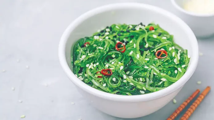 Could Seaweed Be the Nordics’ Future Protein?