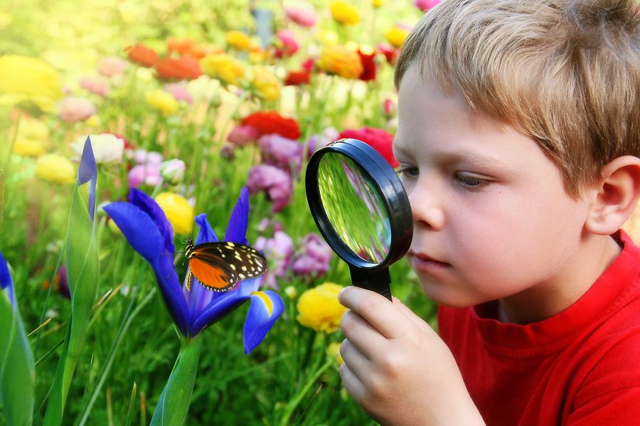 The Art of Being Human: How Creativity Supports Well-Being Throughout Life