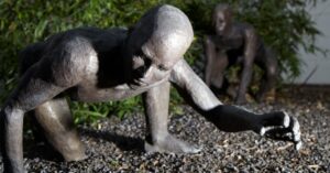 The Art of Being Human: How Creativity Supports Well-Being Throughout Life