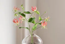 Glass and Silver Art by Award-Winning Swedish Designer