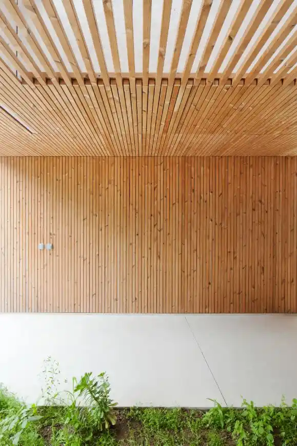 From Nordic Forests to British Buildings: How Finnish ThermoWood Became the UK's Most Sought-After Cladding