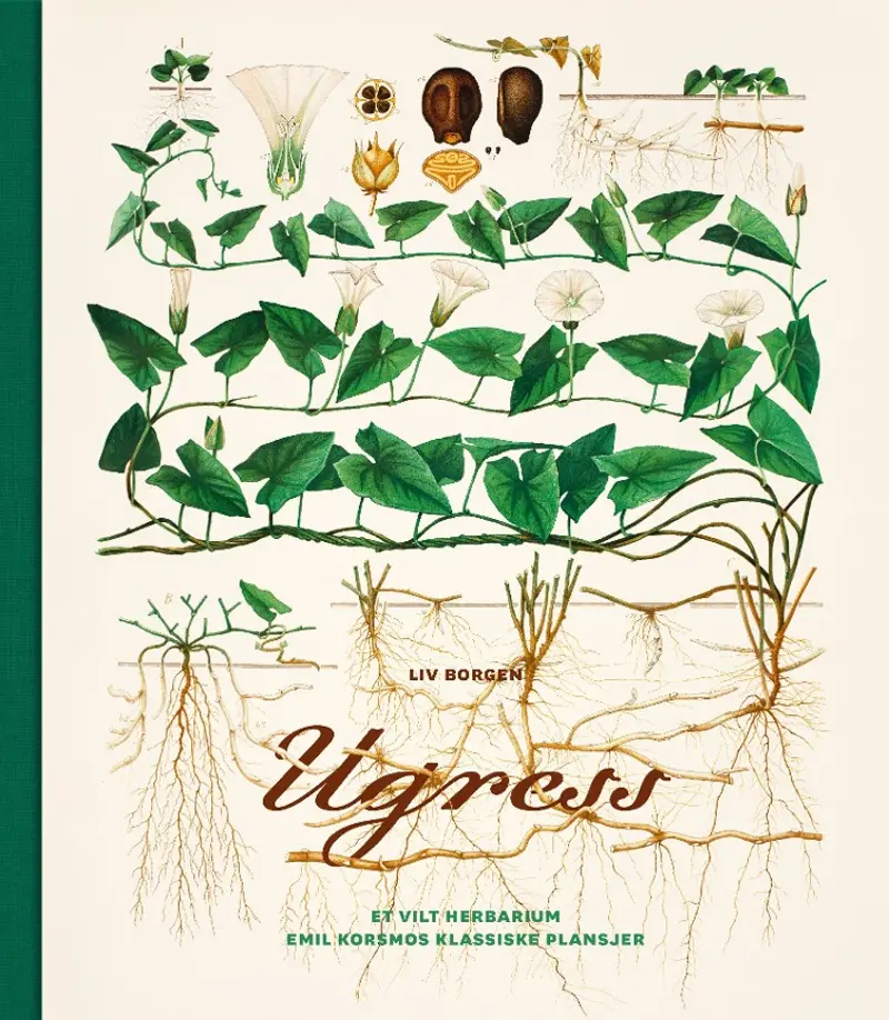 Illustrated Science from Norway