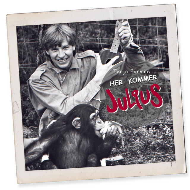 Julius - the Popular Norwegian Chimpanzee