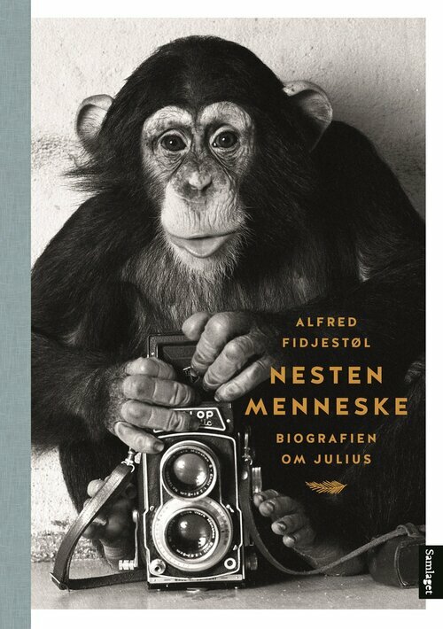 Julius - the Popular Norwegian Chimpanzee